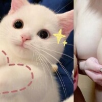 また会いましょう??