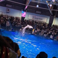 また明日から…！