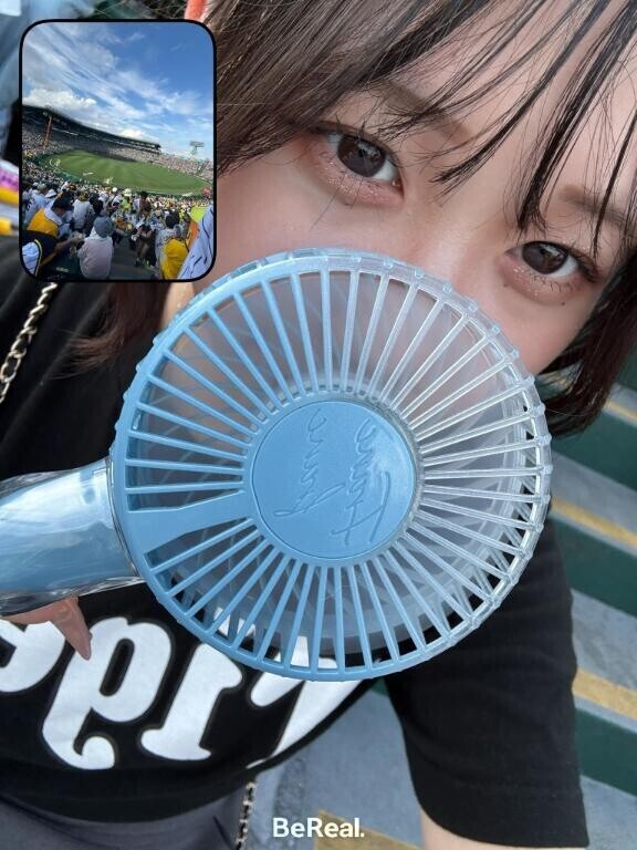 夏といえば