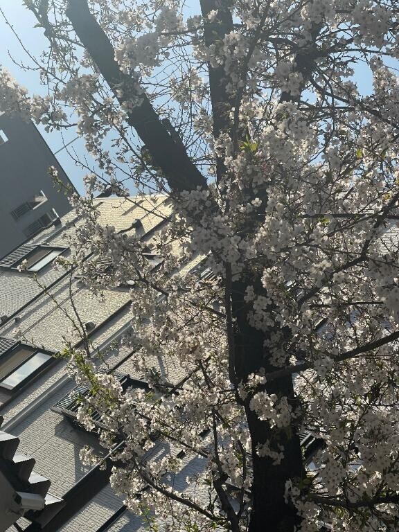御礼?