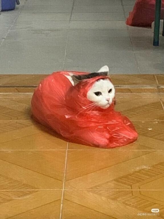 ありがとぉ！