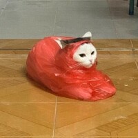 ありがとぉ！
