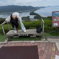 がーーーーーん