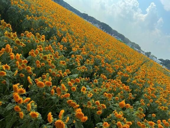 ??♪??*?｡????.?*･??♪??*?｡????.?*･??♪??*?｡????.?*･??