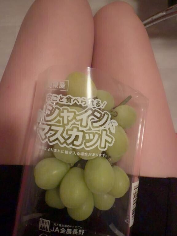 差し入れありがとう?