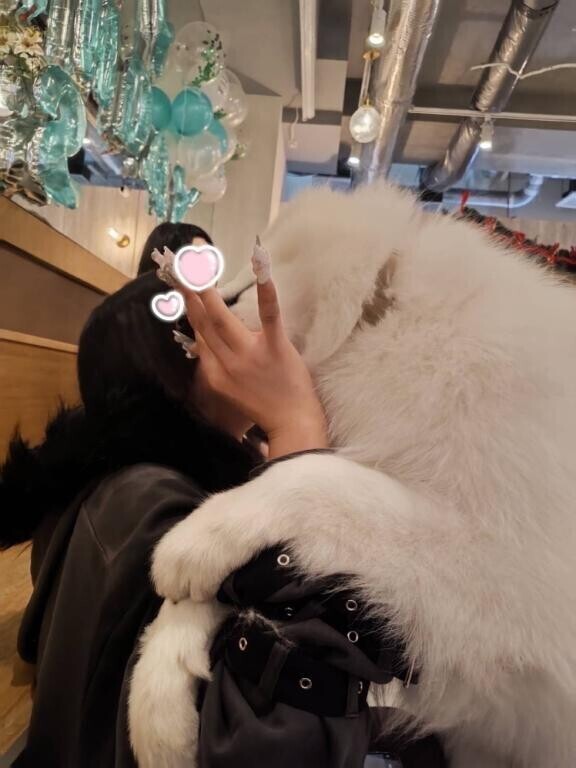 次回６日（土）１０時～