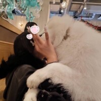 次回６日（土）１０時～