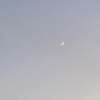 申し訳ございません