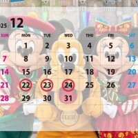 ?12月年内ラスト出勤情報?