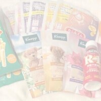 年内ラスト出勤??