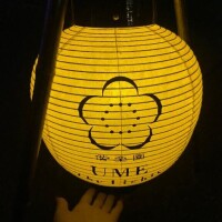 あと少しだよ？＞??＜ ?