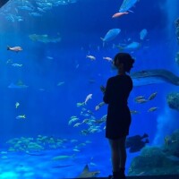 いま1番欲しいもの????