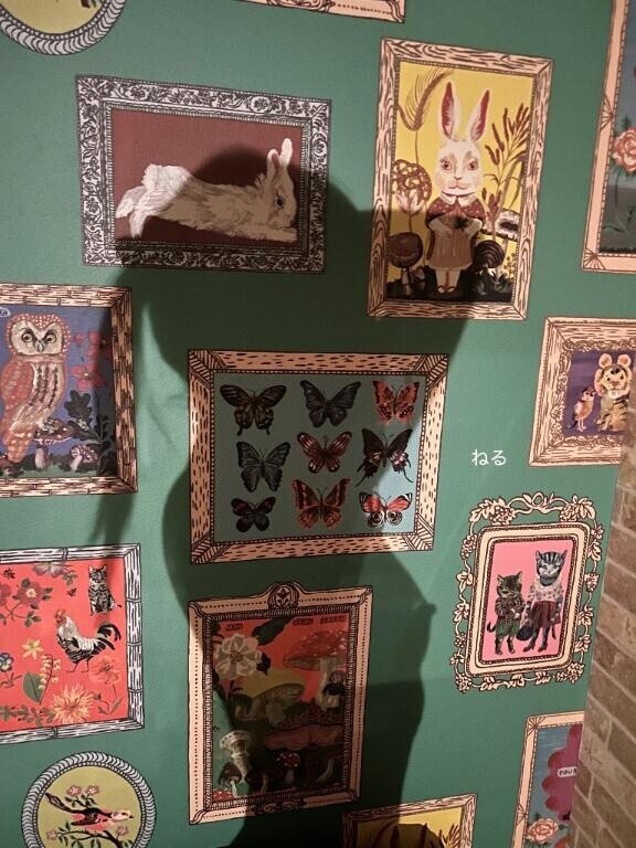 華やかだけど大胆?