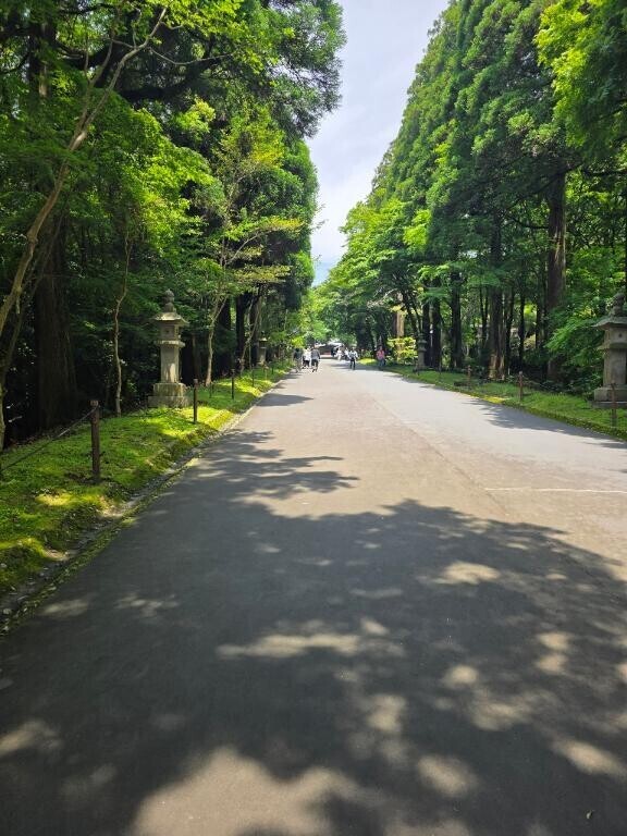 あと3日