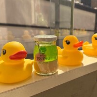 旅行が好きなの～こないだ、、