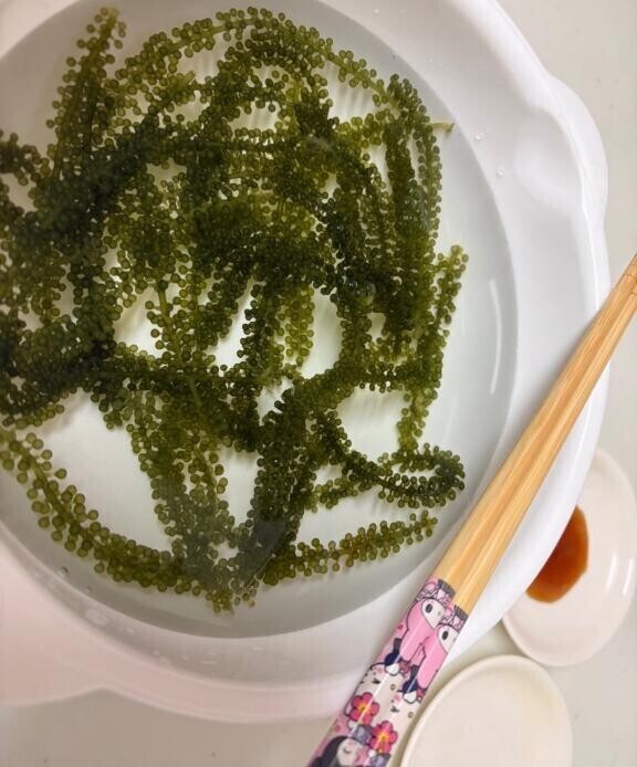 最近ハマってる食べ物