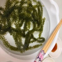 最近ハマってる食べ物