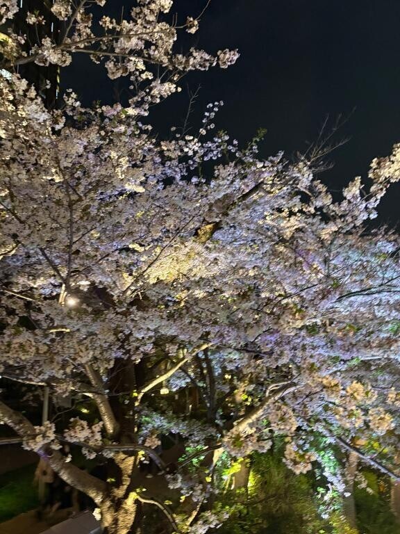 出勤しました?
