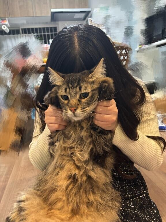 生粋の猫派?