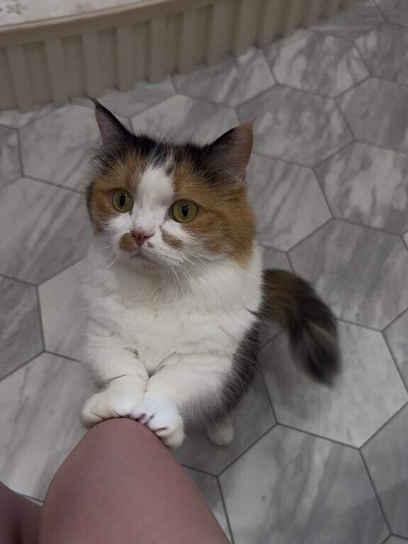 ?