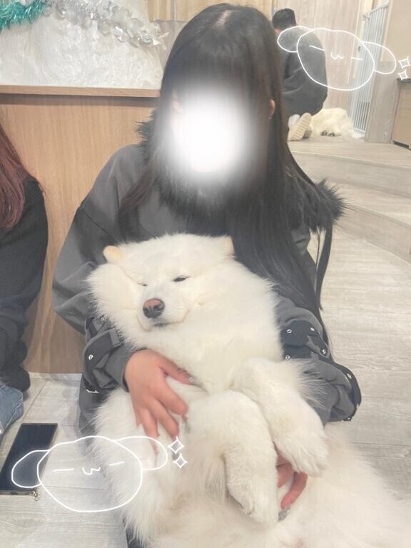 おはよん
