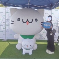 ゆいちゃんたまらん?