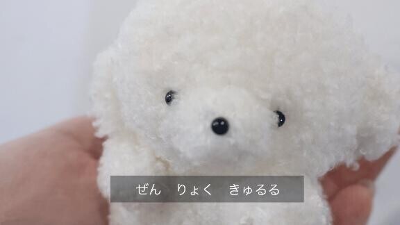 ?枠完売??