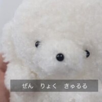 あまね