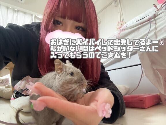 ねずみたま