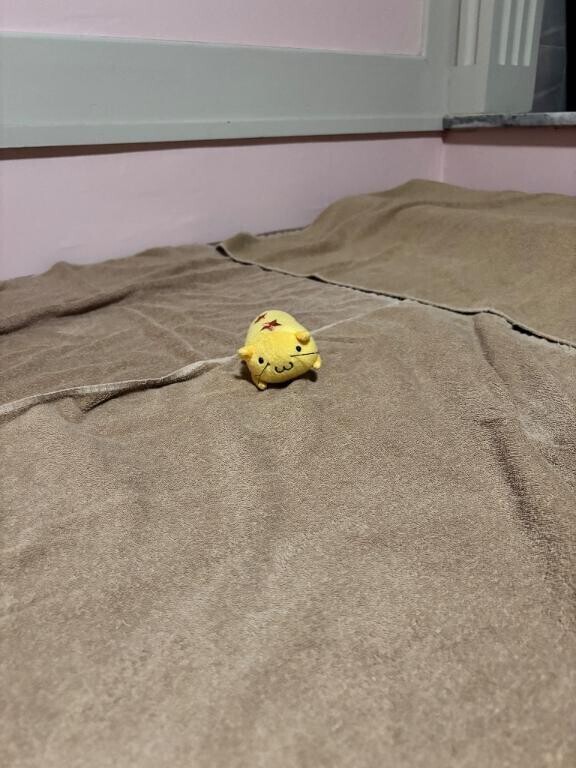 公