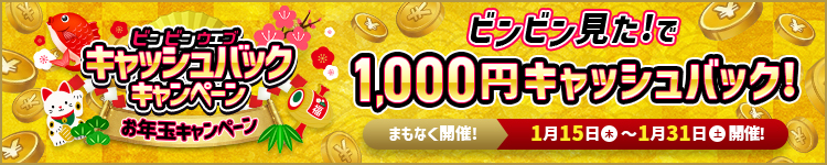 お年玉キャッシュバックキャンペーン